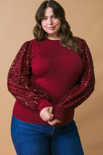 Sequin Sleeve Knit Top (Plus Size)