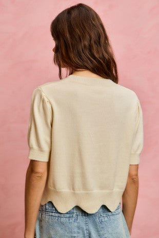 Floral Embroidered Short Sleeve Sweater