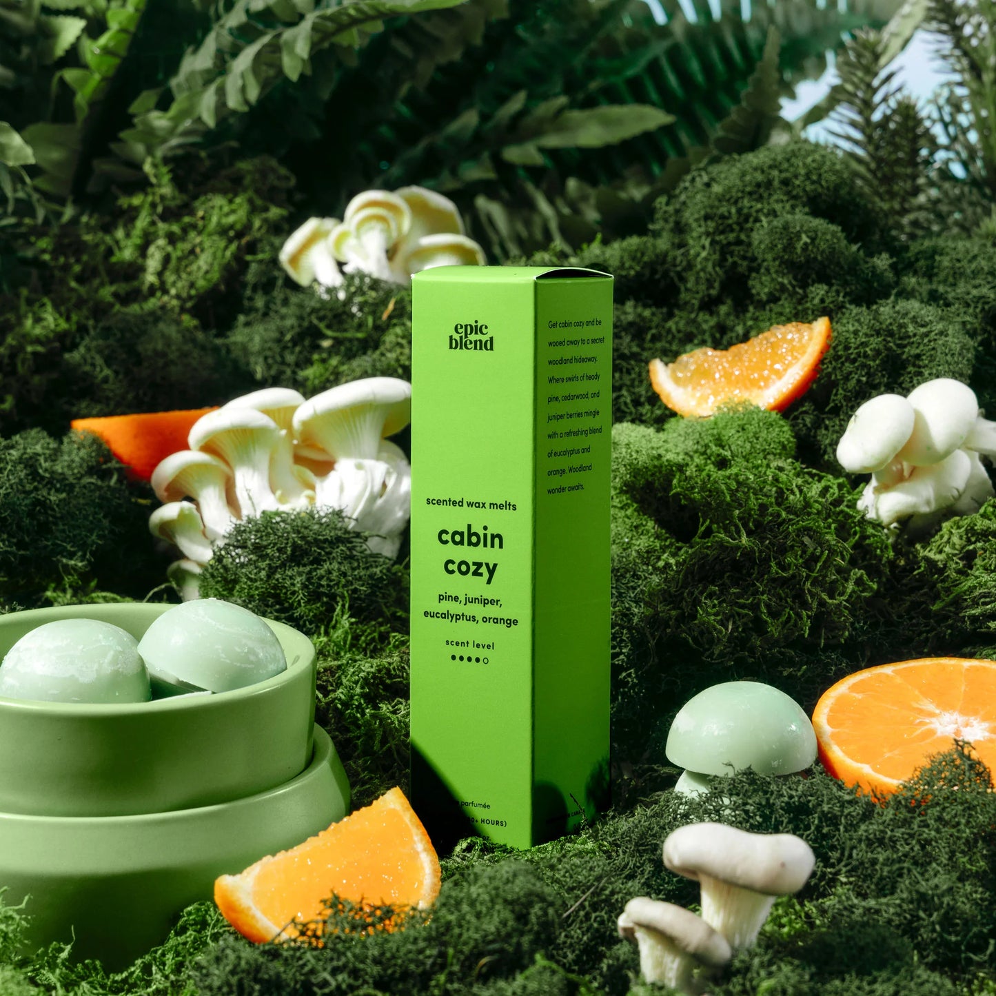 *Canadian Brand* Cabin Cozy Scented Wax Melt