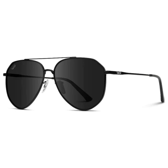 Ramsey Polarized Aviator Sunglasses || Black Frame / Black Lens