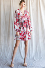 Long Sleeve V-Neck Dress