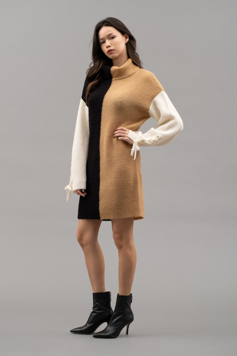 Braided Sleeve Color Block Sweater Dress
