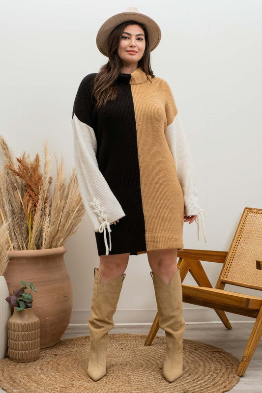 Braided Sleeve Color Block Sweater Dress (Plus Size)