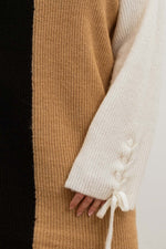 Braided Sleeve Color Block Sweater Dress (Plus Size)
