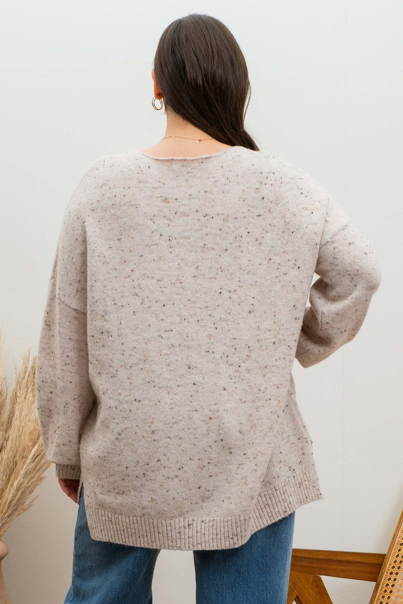 V-Neck Speckled Sweater (Plus Size - Oatmeal)