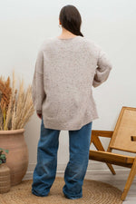 V-Neck Speckled Sweater (Plus Size - Oatmeal)