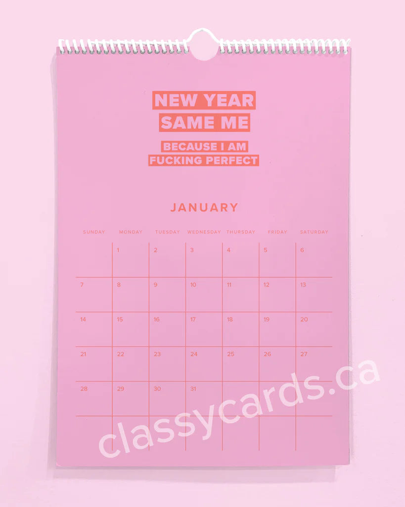 "Babe, You've Fucking Got This" 2024 Calendar