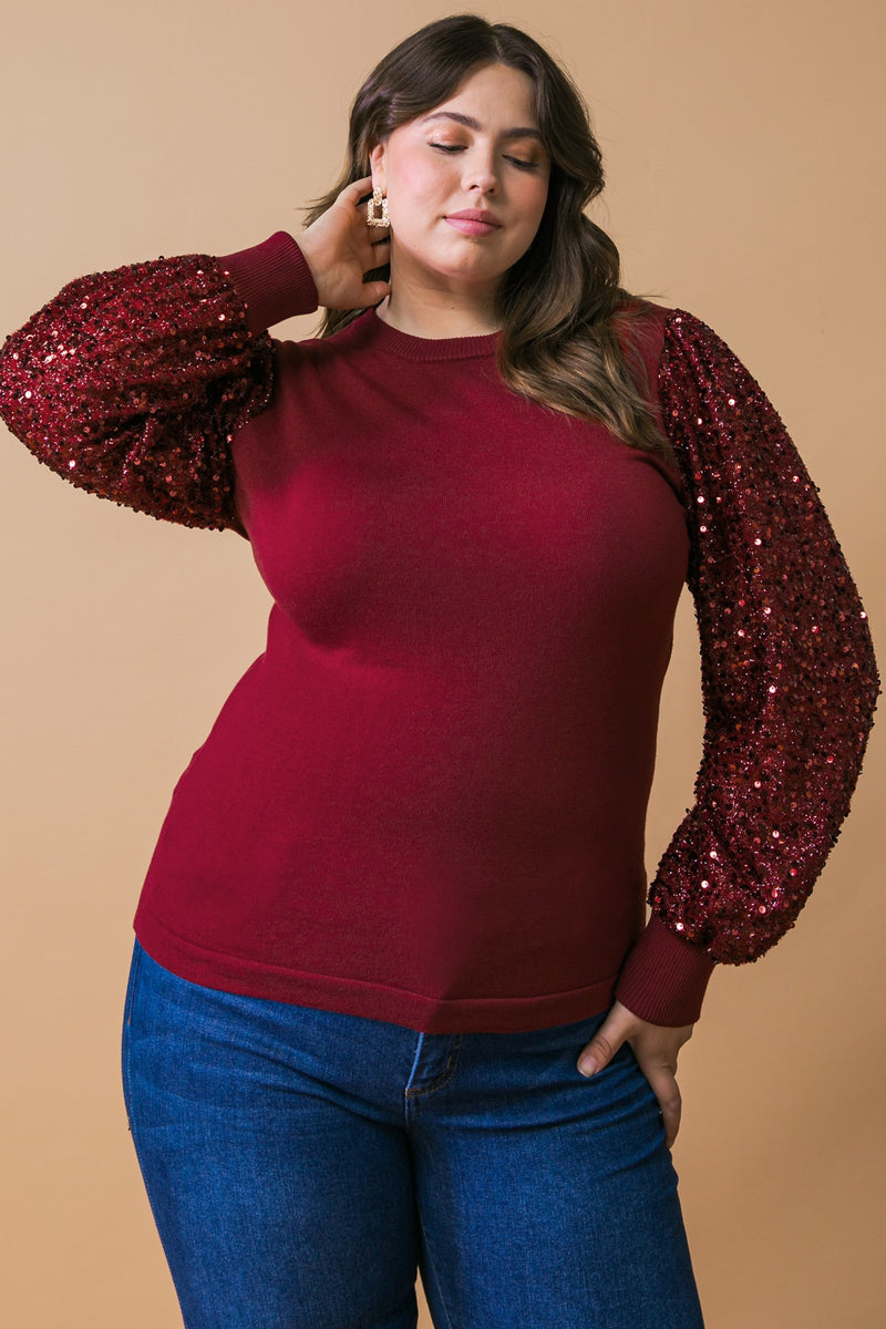 Sequin Sleeve Knit Top (Plus Size)