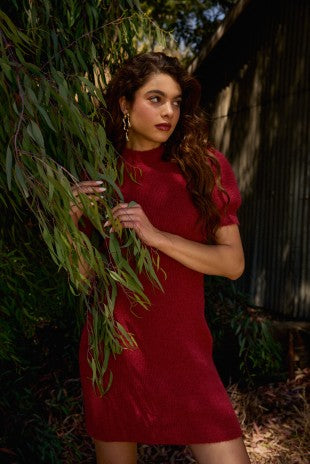 Mock Neck Short Sleeve Sweater Dress
