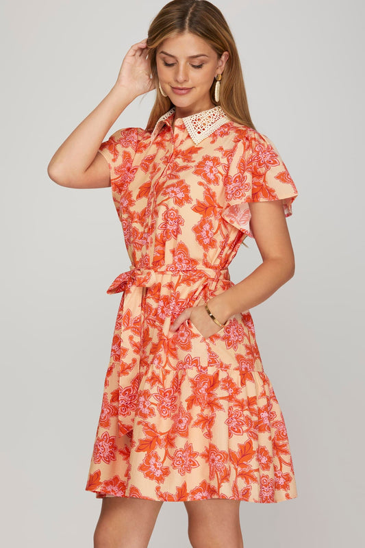 Lace Collar Button Down Flutter Sleeve Dress