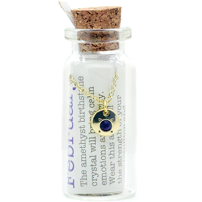 Birthstone Bottle Necklace || February (Amethyst)