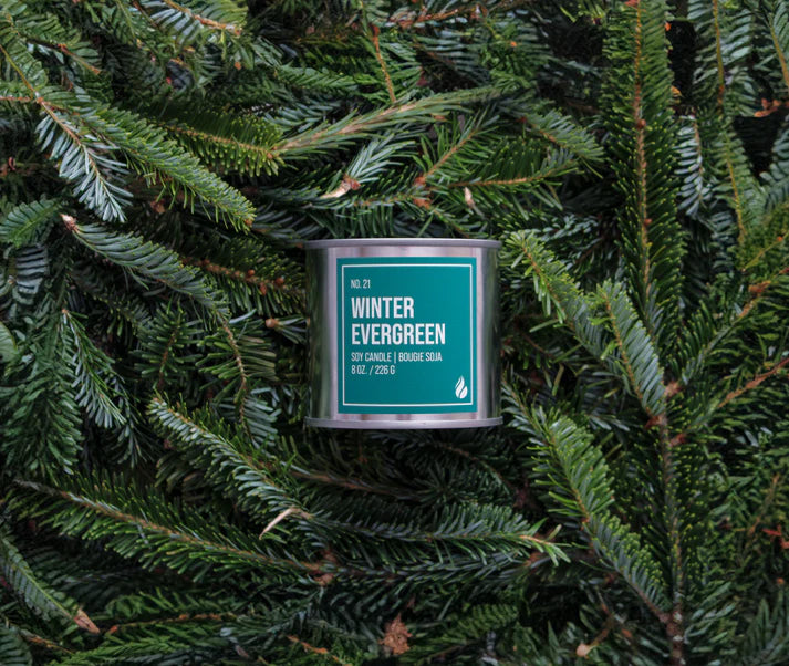*Canadian Brand* | No. 22 Winter Evergreen Soy Candle (8oz - Large)