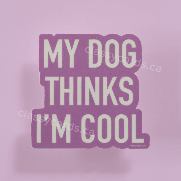 "My Dog Thinks I'm Cool" Vinyl Sticker