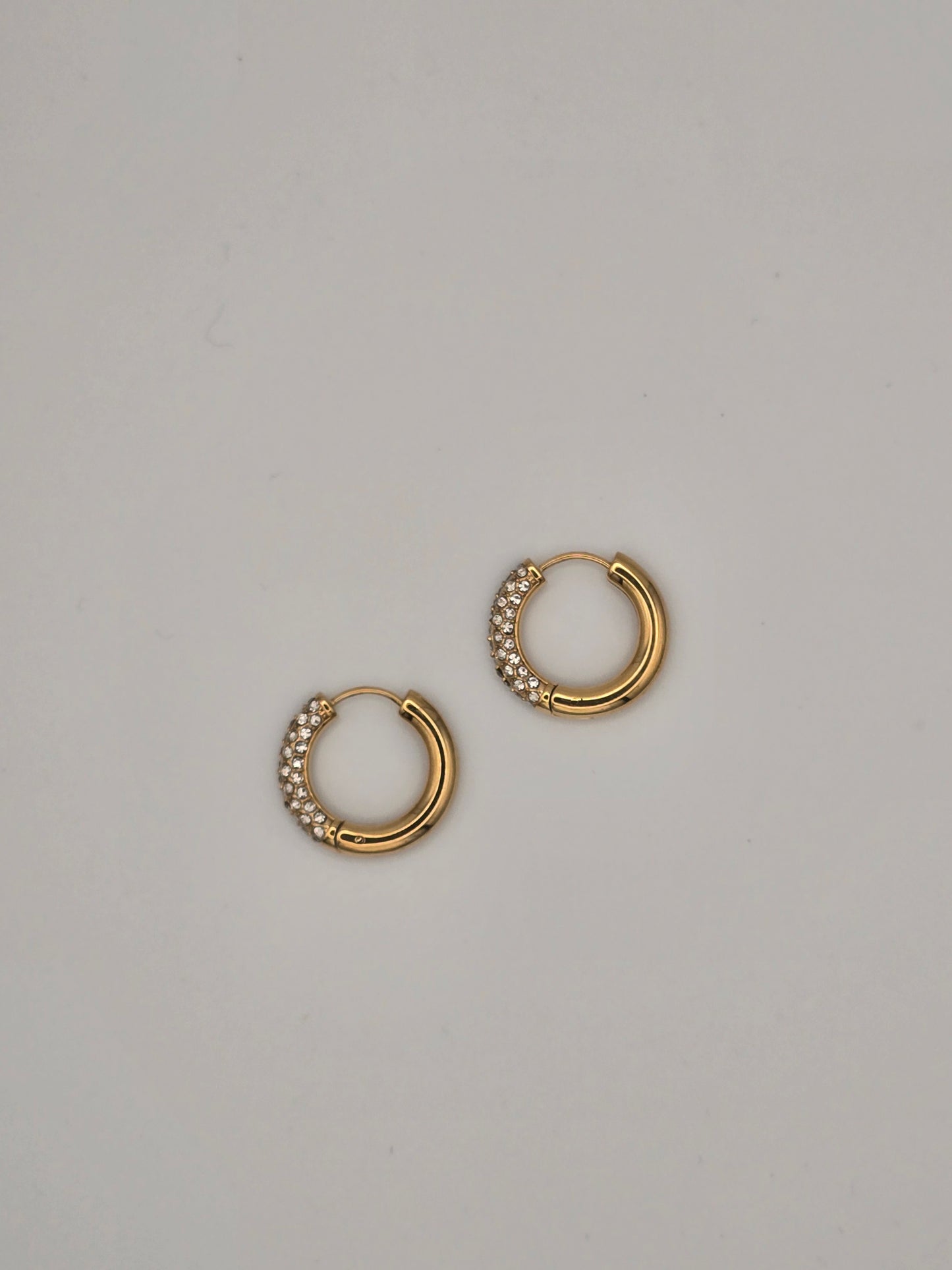 Stainless Steel Sparkle Gold Hoop Earrings
