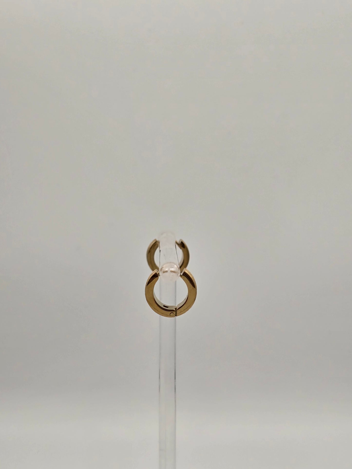 Stainless Steel Small Shimmer Hoops in Gold or Silver