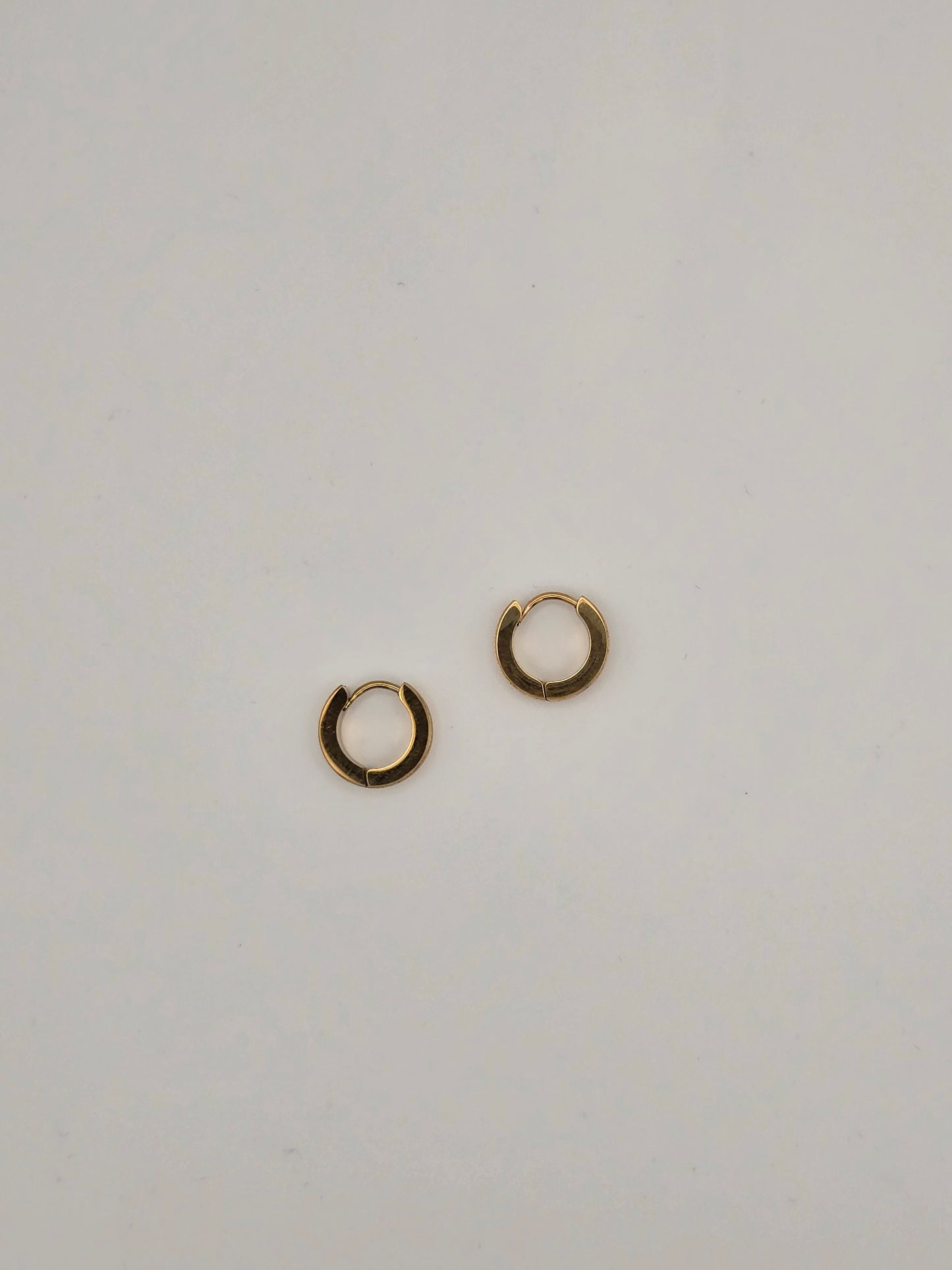 Stainless Steel Small Shimmer Hoops in Gold or Silver