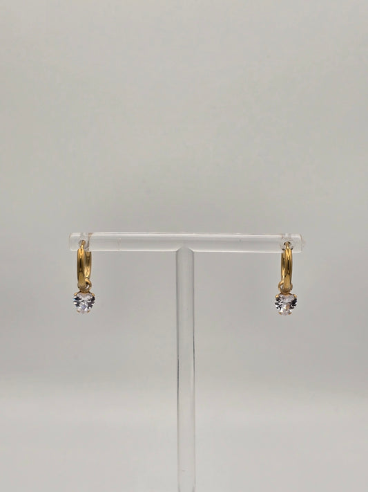 Stainless Steel Sparkle Heart Hoops