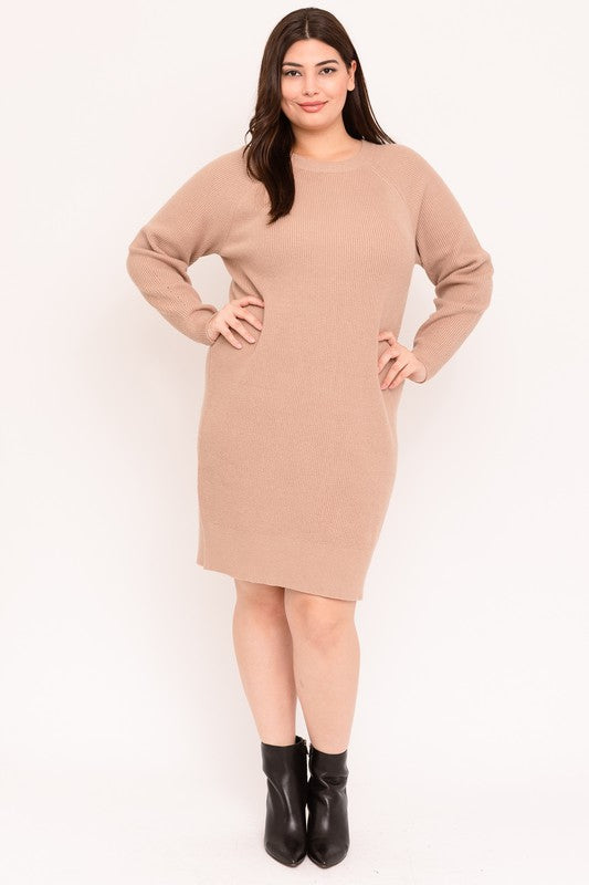 Crew Neck Long Sleeve Sweater Dress (Plus Size)
