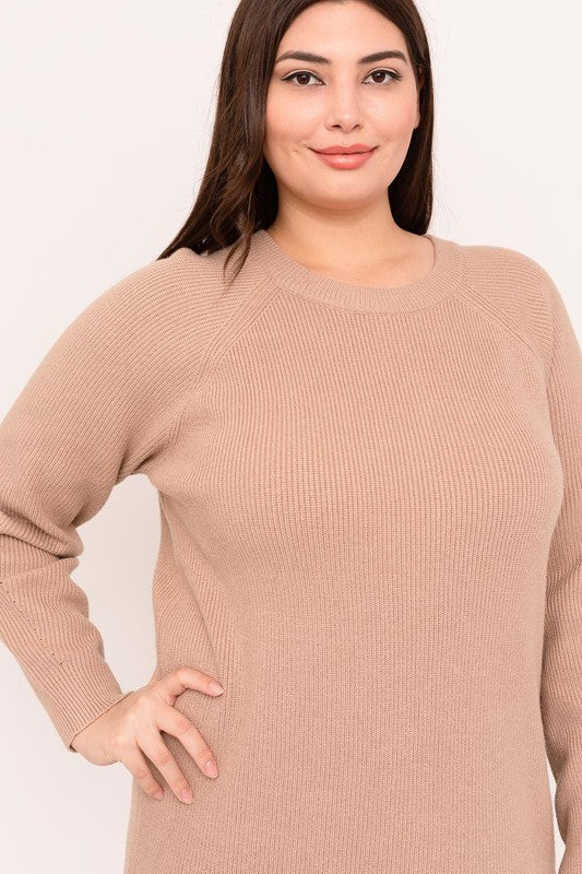 Crew Neck Long Sleeve Sweater Dress (Plus Size)