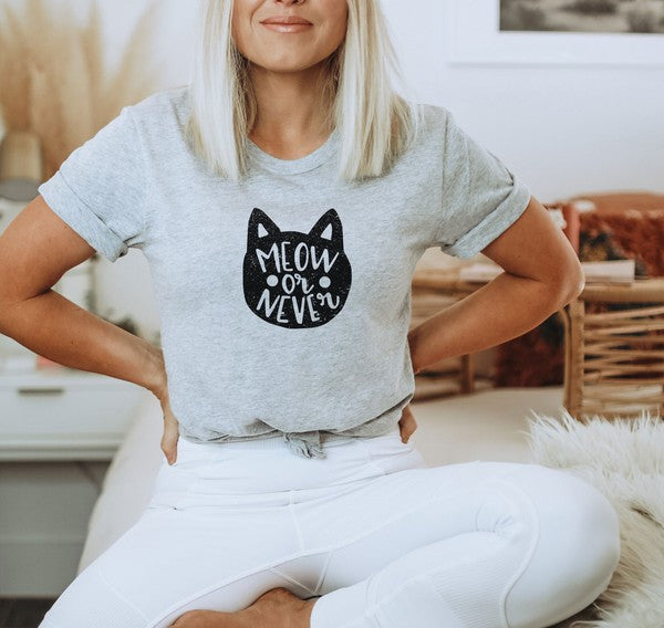 "Meow or Never" Unisex Graphic T-Shirt (Grey)