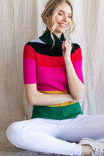 Colorful Ribbed Striped Turtleneck
