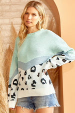 Leopard Print Color Block Sweater (Plus Size)