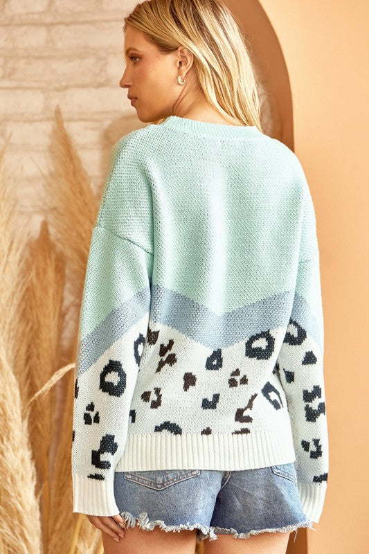 Leopard Print Color Block Sweater (Plus Size)