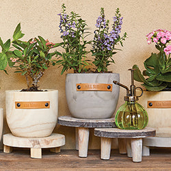 "Late Bloomer" Wood Planter