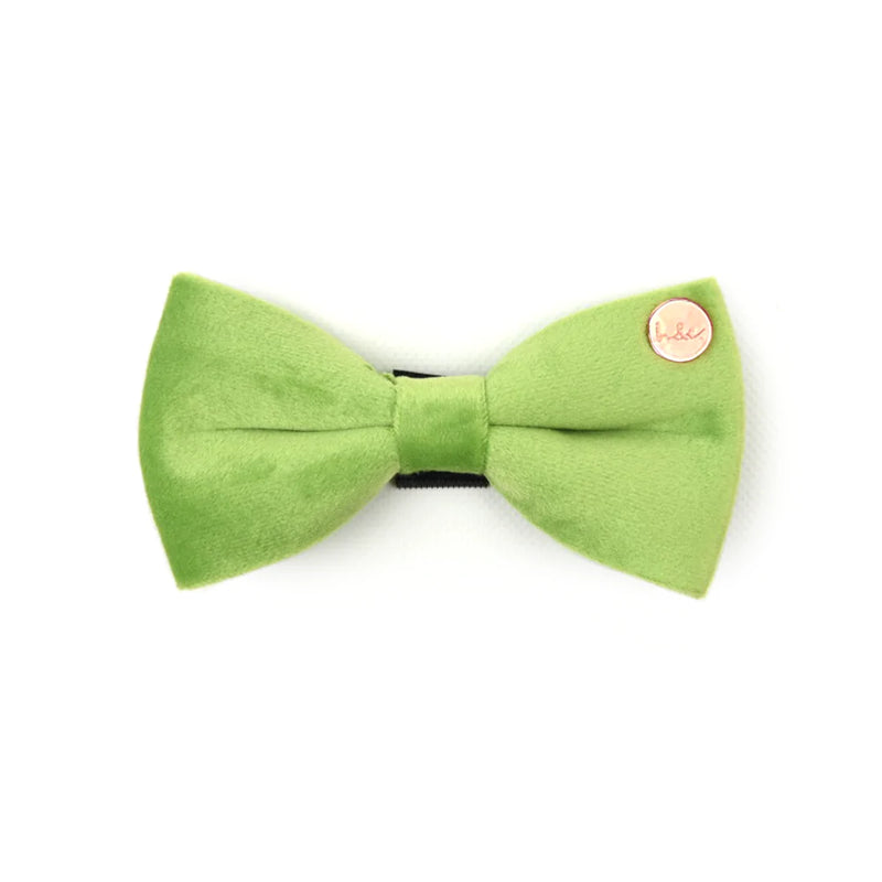 Velvet Dog Bow Tie || Granny Smith Green