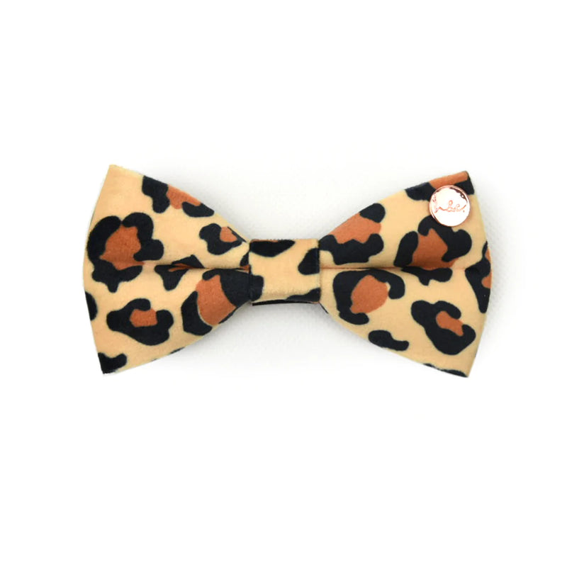 Velvet Dog Bow Tie || Basic Bitch Leopard
