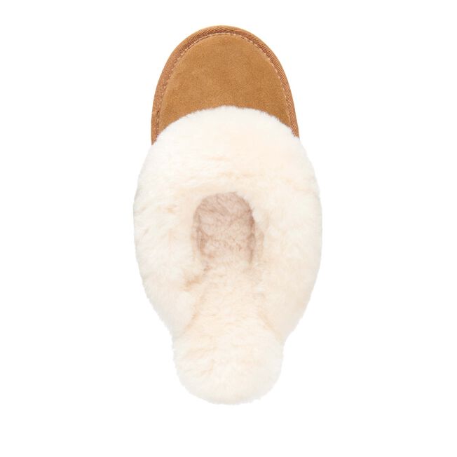 Emu Australia || "Jolie" Slippers (Chestnut)