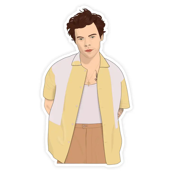 Harry Styles 
