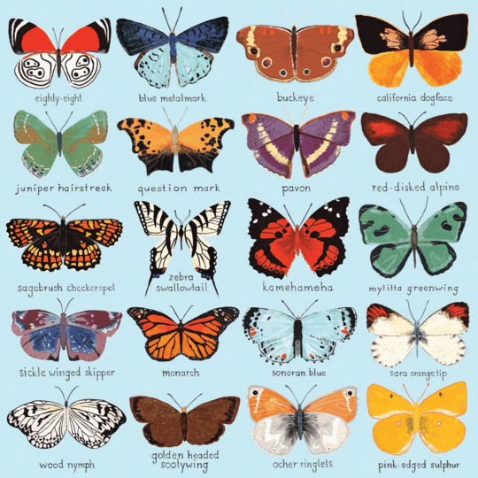 Butterflies of North America 500 Piece Puzzle