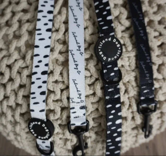 "Seeing Spots" Dog Leash