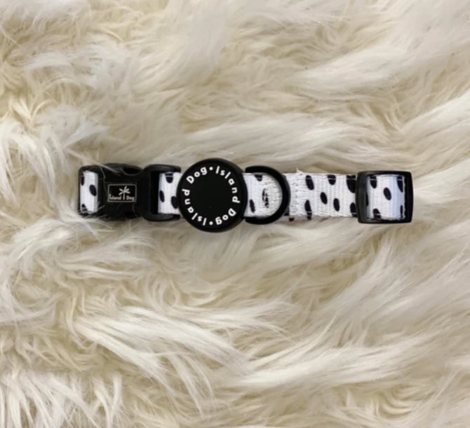 "Seeing Spots" Dog Collar
