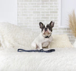 "Seeing Spots" Dog Leash