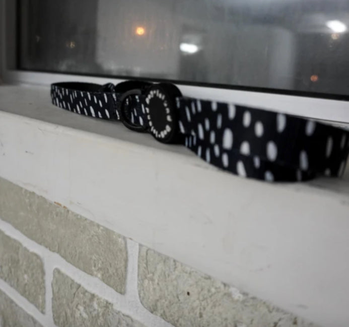 "Seeing Spots" Dog Leash